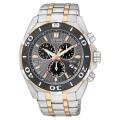 Citizen Men's Stainless Steel Perpetual Calendar Watch
