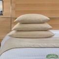Natura Granulated Latex Aloe Infused Pillow