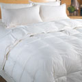 Classic 240 Thread Count Light-weight All-season White Down Comforter