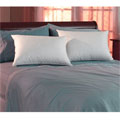 Clustaire Allergen Barrier Nexus Down Alternative Pillows (Set of 2)