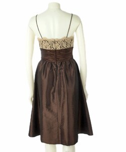 Anne Klein Spaghetti Strap Lace and Taffeta Dress