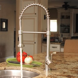 Fontaine Brushed Nickel Residential Spring Kitchen Faucet