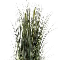Laura Ashley Realistic Silk Green Onion Grass and Cattails Floor Plant with Contemporary Planter