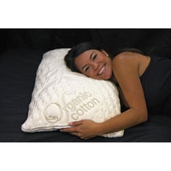 Ultra Plush Memory Foam Ventilated Pillow and Organic Cotton Cover Set