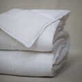 Oversize Silky Touch Queen-size Microfiber Blanket
