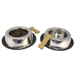 Small Stainless Steel Pet Non-skid Rubber Base Bowls (Set of 2)