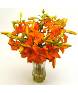 Bouquet of Orange Lilies