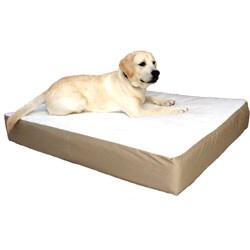 Orthopedic Large 34 in. x 48 in. Double Dog Waterproof Denier Pet Bed