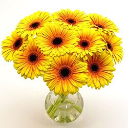 Yellow Gerbera Daisies Vase