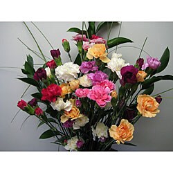 Simply Miniature Carnation Bouquet (12 Stems)