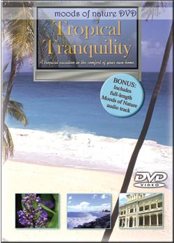 Tropical Tranquility