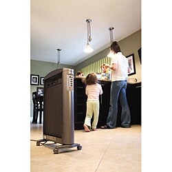 Soleus Micathermic Heater