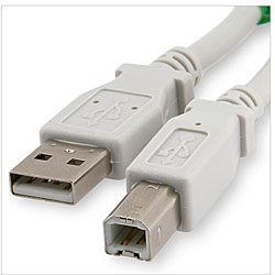 Type A to B 6-foot White USB 2.0 Cable
