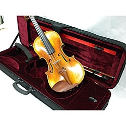 Artist  500  Series Concert Violin, Case and Accessory Package