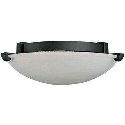 One Light Graphite Halogen Fan Light Kit