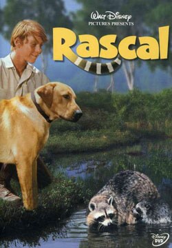 Rascal (DVD)
