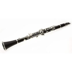 Band/ Orchestra Clarinet Package