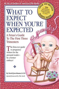 What to Expect When You`re Expected (Paperback)