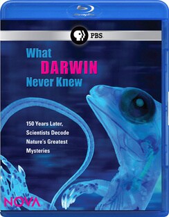 NOVA: What Darwin Never Knew (Blu-ray Disc)