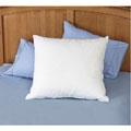 Natural Eurosquare Pillows (Set of 2)