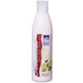 Dead Sea Spa Care Hand and Body Massage Lotion (Pack of 4)