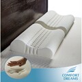 Personal Anti-snore Contour Memory Foam Pillows (Set of 2)