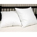 European 26-inch Square 230 Thread Count Feather Pillows (Set of 2)