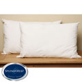 Splendorest 220 TC Cotton Down Alternative Queen-size Pillows (Set of 2)