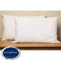 Splendorest 220 TC Cotton Down Alternative King-size Pillows (Set of 2)