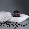 Beautyrest 230 Thread Count Pocketed Coil Pillow
