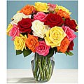 2 Dozen Rainbow Roses (24 Stems)