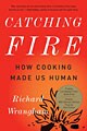 Catching Fire (Paperback)