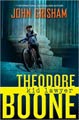 Theodore Boone (Hardcover)