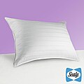 Sealy 300 Thread Count Down Alternative Pillow