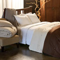 Modo Cotton 3-piece Duvet Cover Set