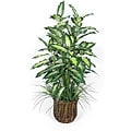 Silk 4-foot Dieffenbachia Floor Plant