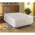 Spring Air Brookfield Euro Top Back Supporter King-size Mattress Set