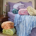 Horizons Coral Fleece Twin-size Blanket