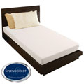 SplendoRest 6-inch Back to School Twin-size Mattress-in-a-box