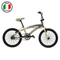 T13673959 BMX Cruiser