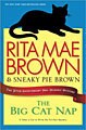 The Big Cat Nap (Hardcover)