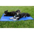 Precision Pet Large K9 Cool Pad