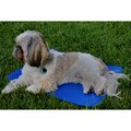 Precision Pet Medium K9 Cool Pad