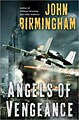 Angels of Vengeance (Hardcover)