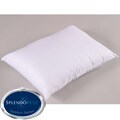 Splendorest Slumber Fresh Queen-size Bed Pillows (Set of 2)