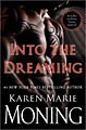 Into the Dreaming (Hardcover)