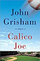 Calico Joe (Hardcover)