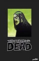 The Walking Dead Omnibus Vol. 2 (Hardcover)