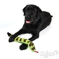 Kyjen Company Invincibles Squeak Snake and Gecko Bundle Dog Toys (Set of 2)