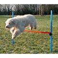 Agility Hurdle